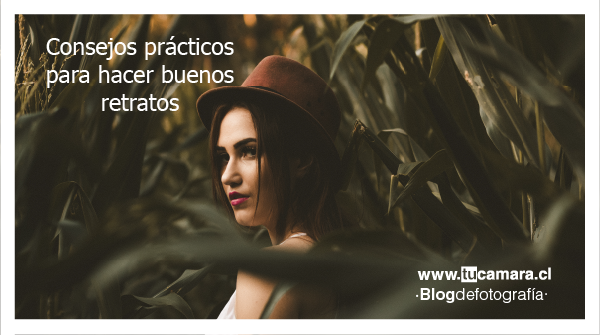 tucamaracl's tweet photo. Todo lo que necesitas saber para realizar retratos más profesionales . Post de la semana https://t.co/WcId3Ab95R  #retratosdefotografia https://t.co/cAxwwF8ScL