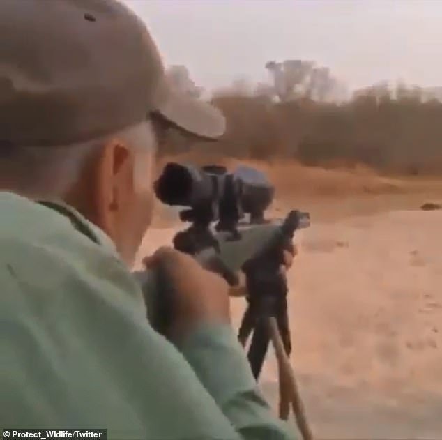 My new <a href="/DailyMail/">Daily Mail</a> column is about sickening lion-killing coward Guy Gorney - the man who's made us all gasp in horror.  
Posting soon.