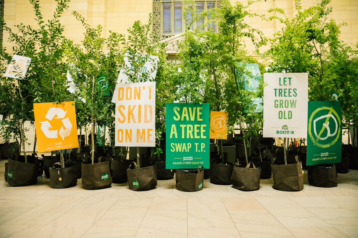 SeventhGen's tweet photo. y’all are steady bringing straight fire
today. I love it. 🔥🔥🔥
- @MikeTheTree #SaveaTreeSwapTP https://t.co/IjOJlJxyMG