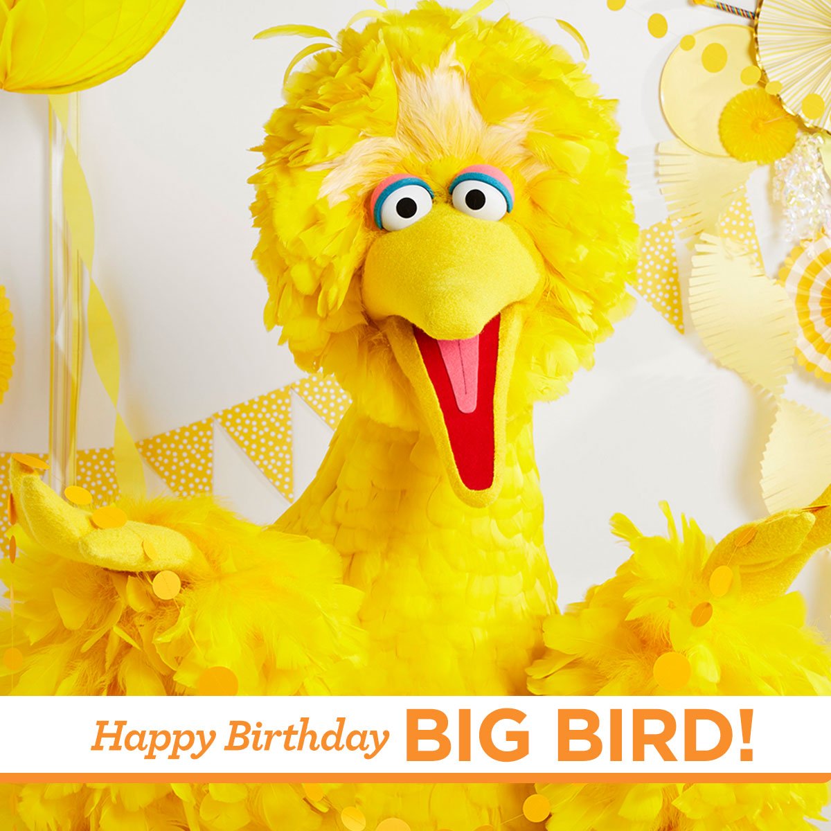 sesamestreet's tweet photo. Today we are celebrating the kindest and happiest bird on Sesame Street, @BigBird! We are so lucky to have a friend like you! #HappyBirthdayBigBird 💛 https://t.co/M2oWTNXhIm