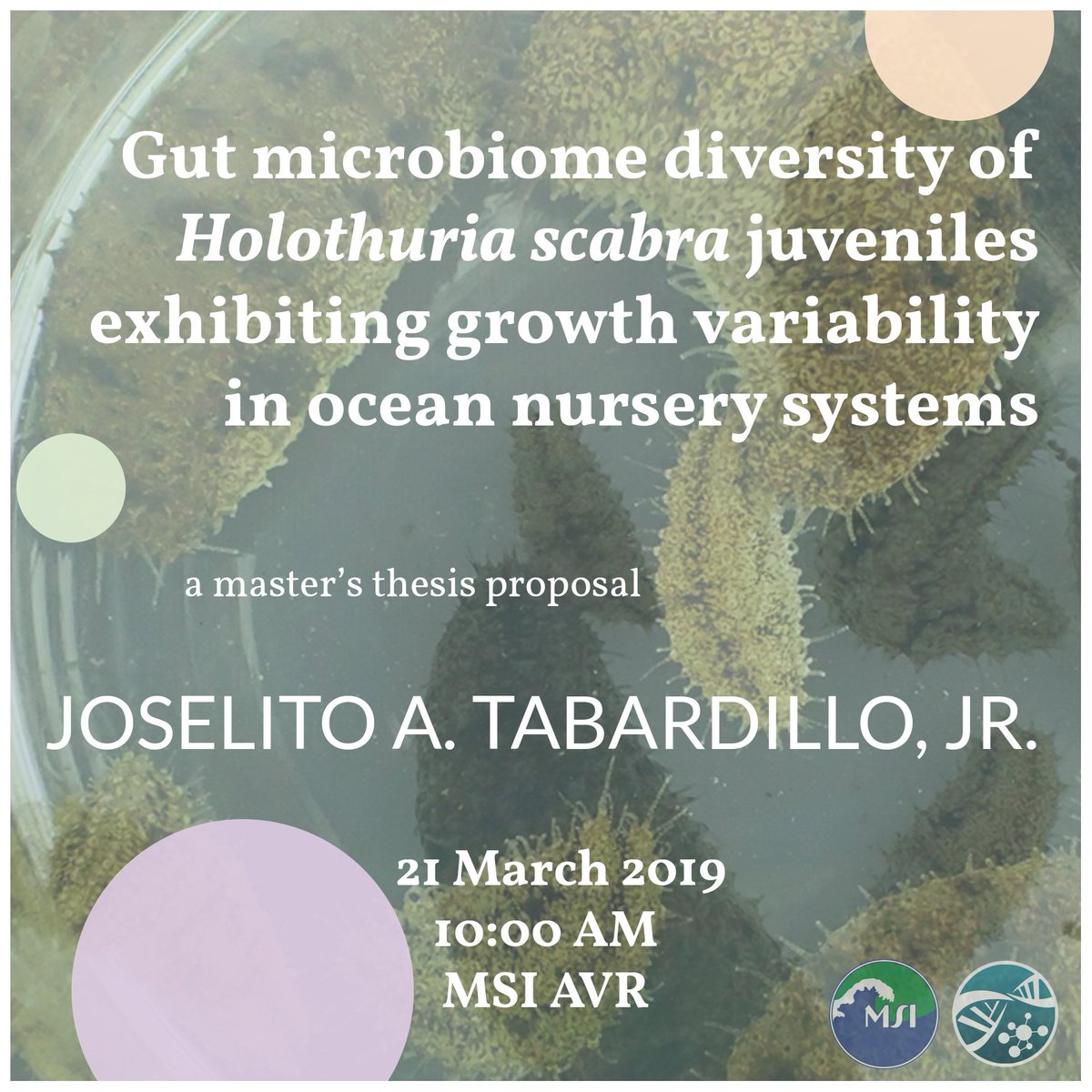 mmeel_upmsi's tweet photo. SET YOUR ALARMS and catch JR/Tabards talk about gut microbiomes, genome sequencing, and baby sea cucumbers! Tomorrow, March 21, 10 AM!
See you! 🥒🥒🥒
#science #thesis #molecularecology #microbiome #GoForScabra https://t.co/AgqiVHTZEv