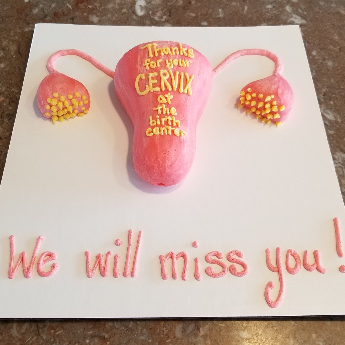 CakebusMN's tweet photo. #olmsteadmedicalcenter has two midwives retiring. Thank You for your Cervix at the Birth Center! Pink cupcakes with pink buttercream accompanied this crazy-fun cake. #CAKEBUS #bestcakeever #mnbakery #scratchbaking #eatme #eatmemn #topthat #onlyinwanamingo #customcake https://t.co/EfRAS2X27A