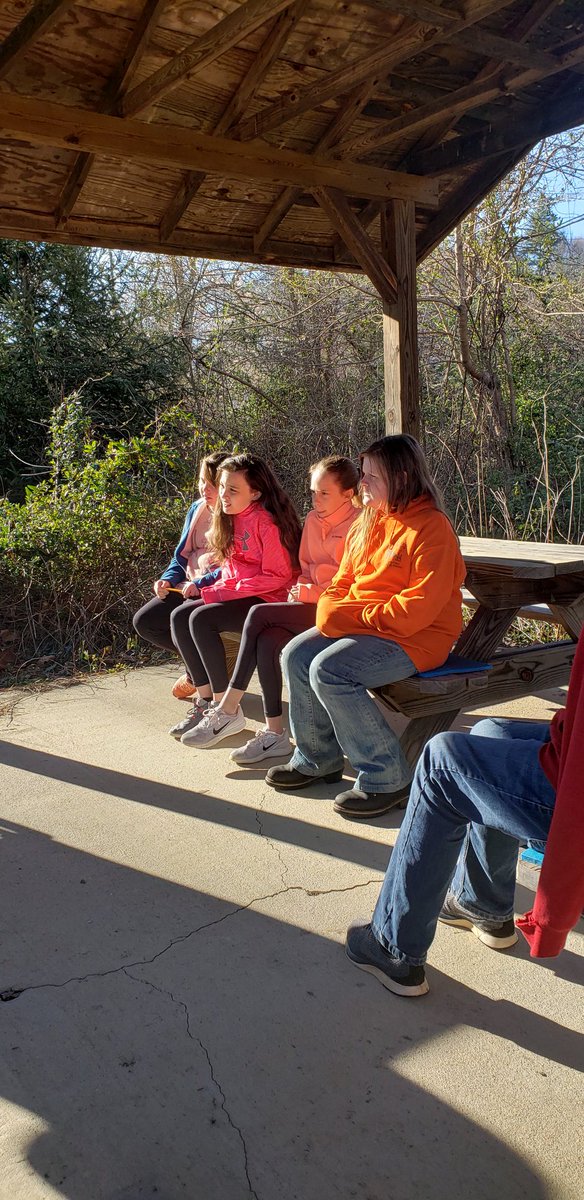 alyssamiller03's tweet image. Just a little critical thinking with Mountain Roots! #5thgraderocks #thinkitout #teamwork @TransylvaniaSch @RES_Tigers