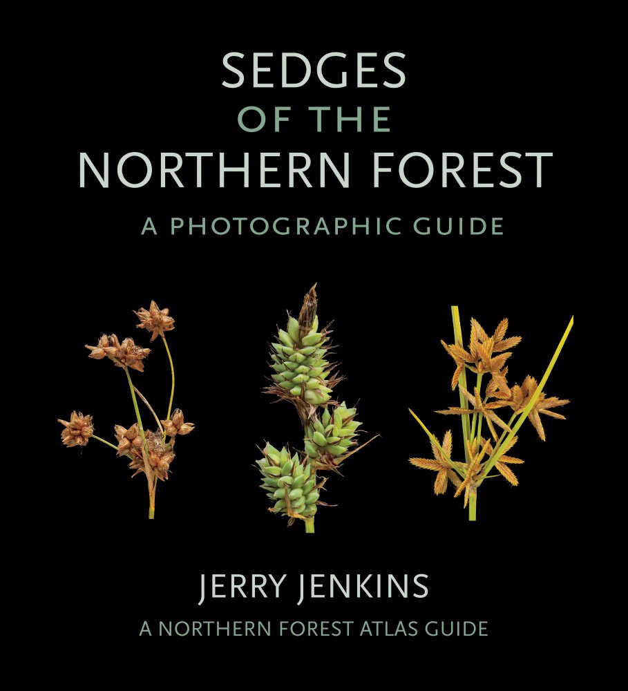 Kitty_H_Liu's tweet photo. It's officially #Spring! And never a better time to check out our latest offerings in #nature #science &amp; #environment. Browse the #ComstockPublishing imprint catalog here: https://t.co/Ikp8MJEIiH #SpringEquinox  #CornellPress #getoutside #ReadUP #naturalhistory #gardening #mosses https://t.co/TNAoDv0d7R