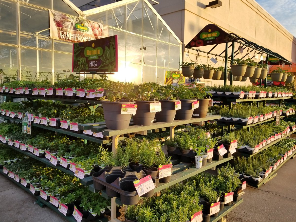 raybes63's tweet photo. Hilaria is one of the many reasons people buy their plants, from the White Rock Home Depot, year after year.  She tends them every morning as if they were her own!! https://t.co/yN81p0qXDd