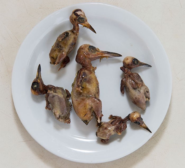 kilbey252's tweet photo. Ambelopoulia means “birds of the vineyards”. @birdlifecyprus say enforcement against restaurants serving it is very limited, yet as the key driver for the illegal killing of many 100s of thousands of songbirds it is crucial that urgent action is taken by #Cyprus Government https://t.co/2C4K7GEDOV