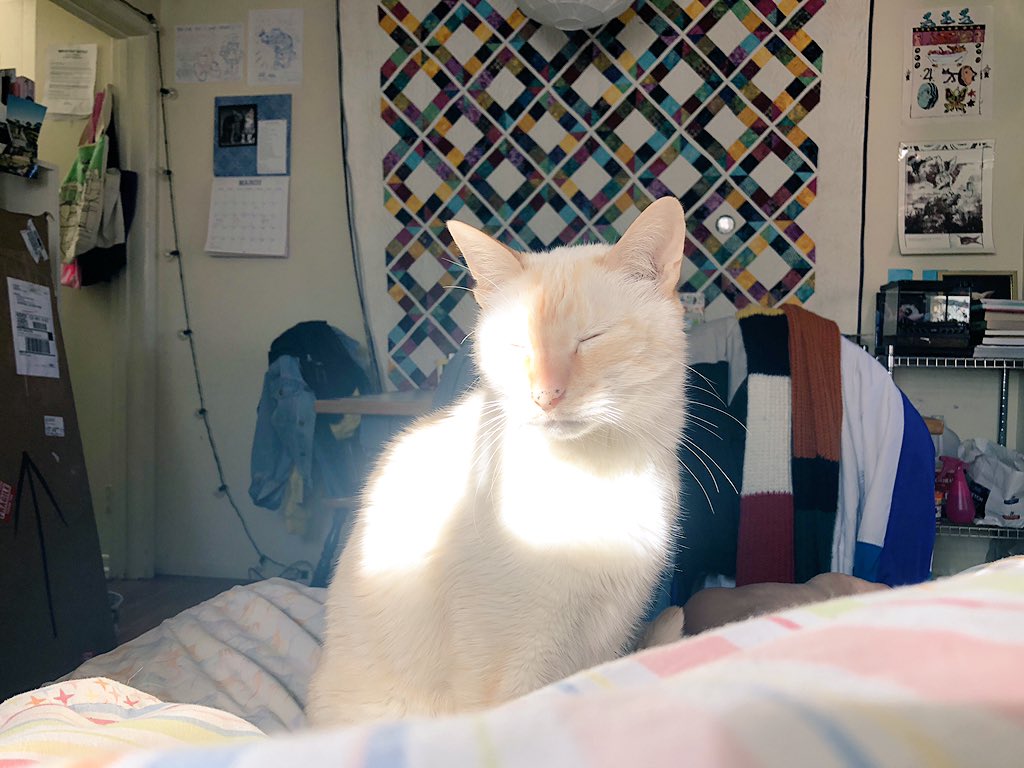 peepeeplayhouse's tweet photo. good Moarning , https://t.co/wryzgUZnTx