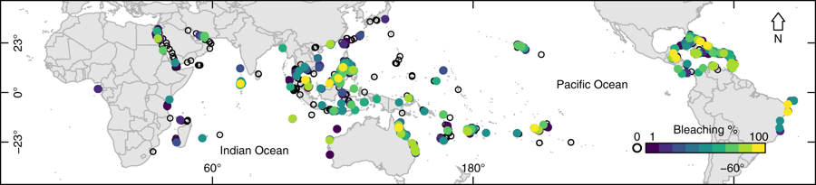 fishymary's tweet photo. Coral bleaching more likely at high latitudes and less likely in places with variable temperatures. Our new study out today in @NatureComms using a huge global dataset from @ReefCheck. Collab with @ucsantabarbara @FloridaTech https://t.co/w8MkxatnNS https://t.co/RtT0KnadOx