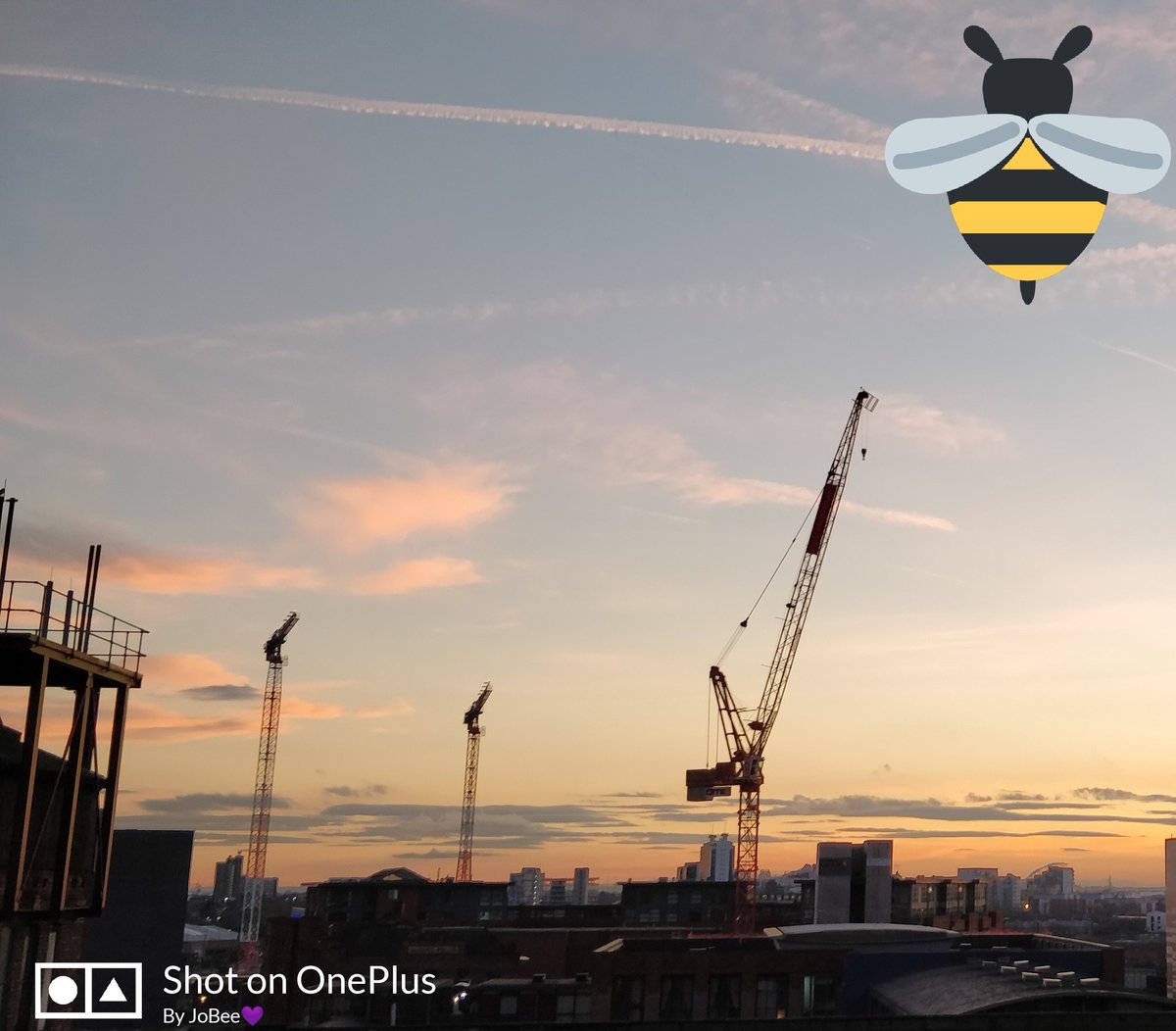 JoBeeMcr's tweet photo. Lovely spring evening in Mancunia 😁💜🦇
#castlefield #castlefieldbasin #Manchester #ilovemanchester 💜 https://t.co/1auSk1plVg