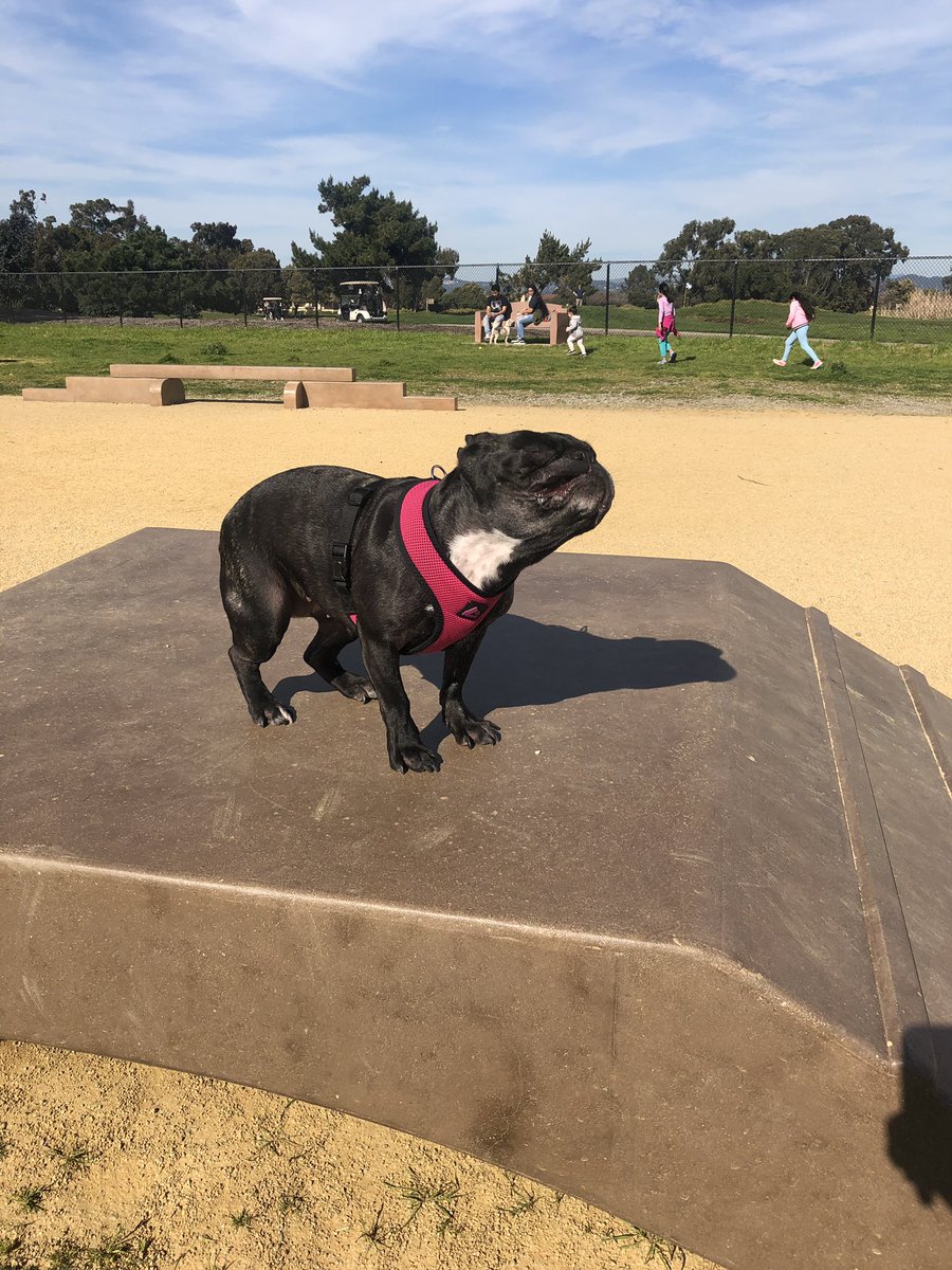 cramtrowder's tweet photo. Enjoying the sun while it lasted https://t.co/jz4fHHsRPe