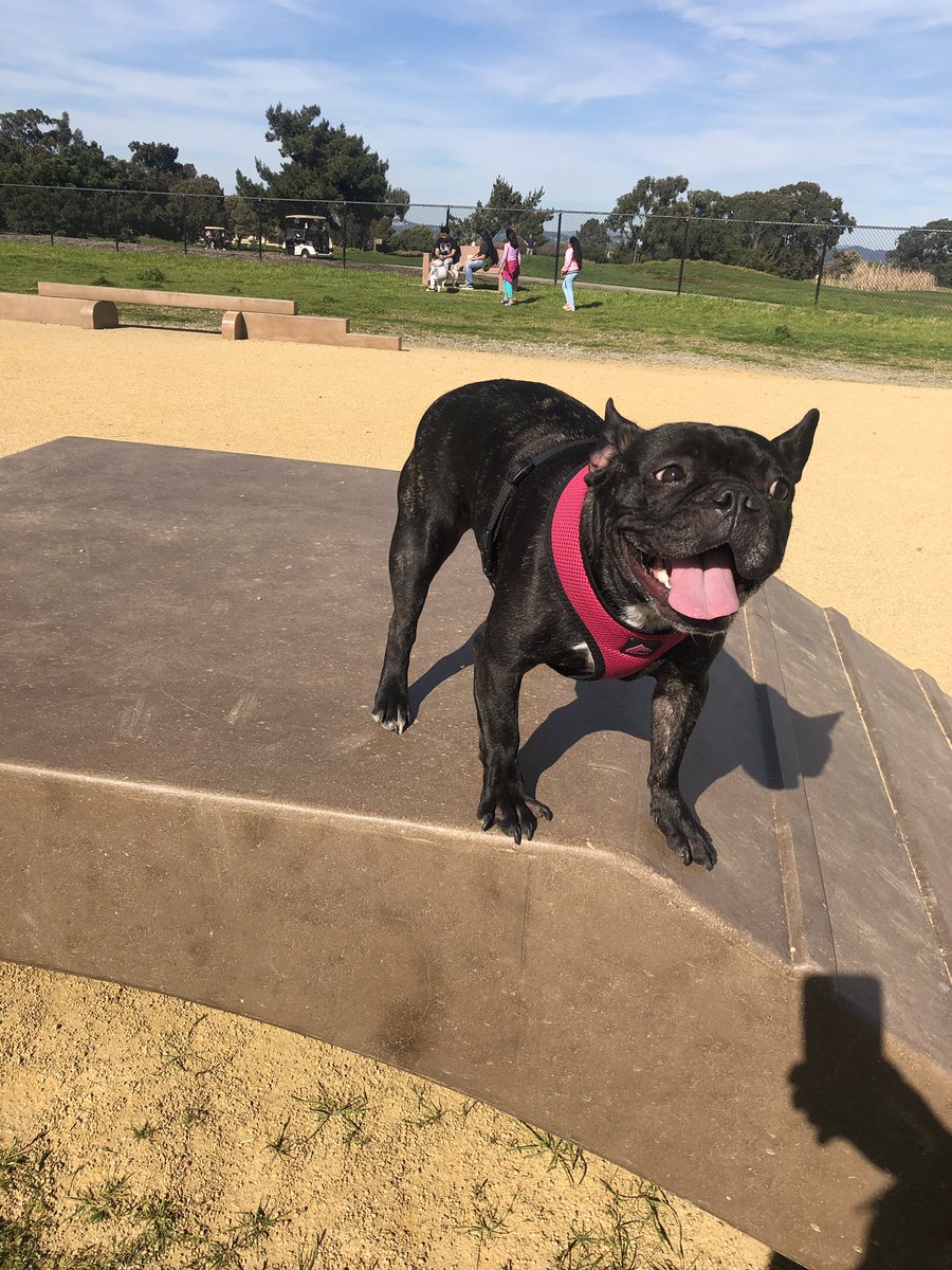 cramtrowder's tweet photo. Enjoying the sun while it lasted https://t.co/jz4fHHsRPe