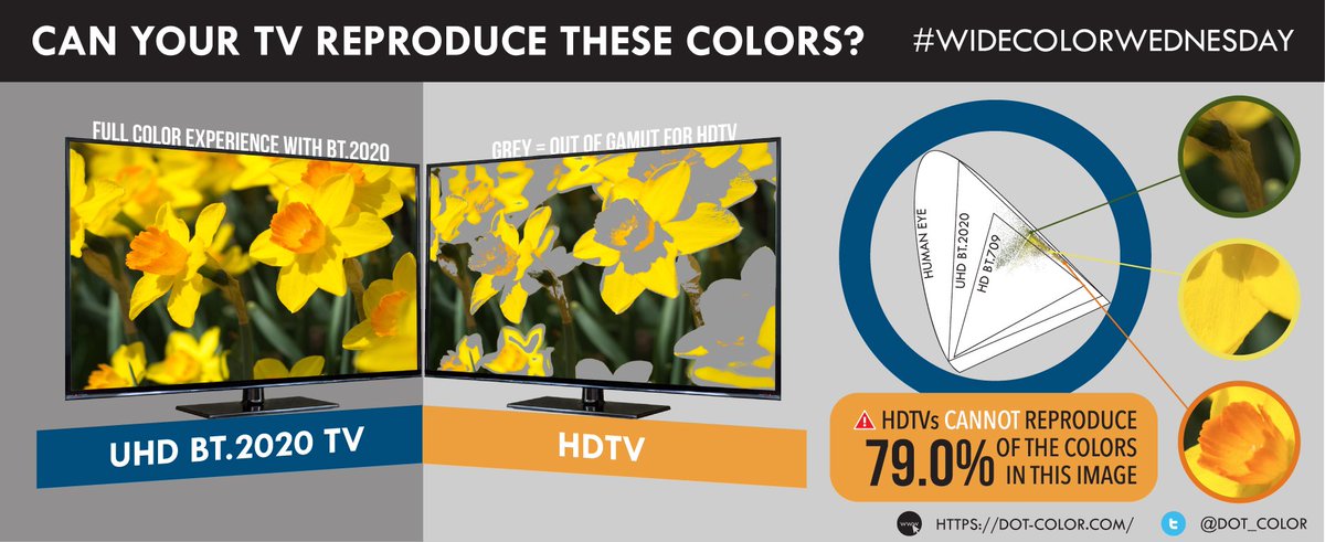 Happy Spring everyone! As spring starts on this #WideColorWednesday, we take a look at the March flower, Daffodil: