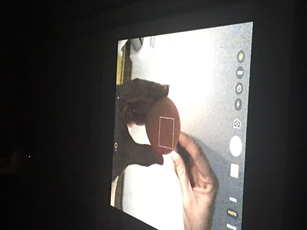 mrskimprice's tweet photo. Candling chick eggs with @Donald_ES 1st graders! Using Apple TV to project to 5 classes makes looking inside easy to see! https://t.co/owMA28D3R8
