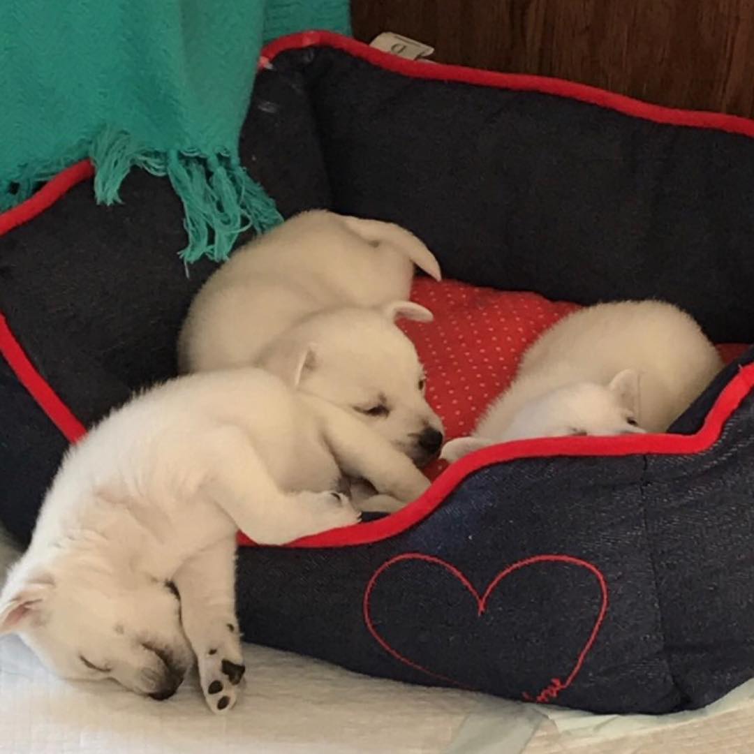 TheEllenShow's tweet photo. Halfway out counts. https://t.co/jqvtiLpMGj