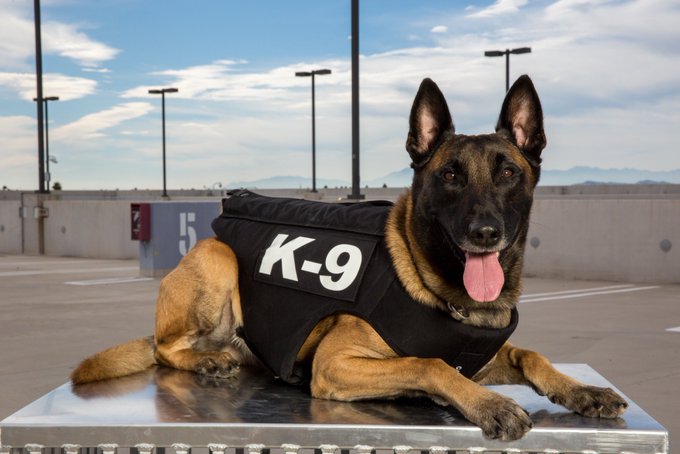 Arizona News Twitter Photos On Twiends