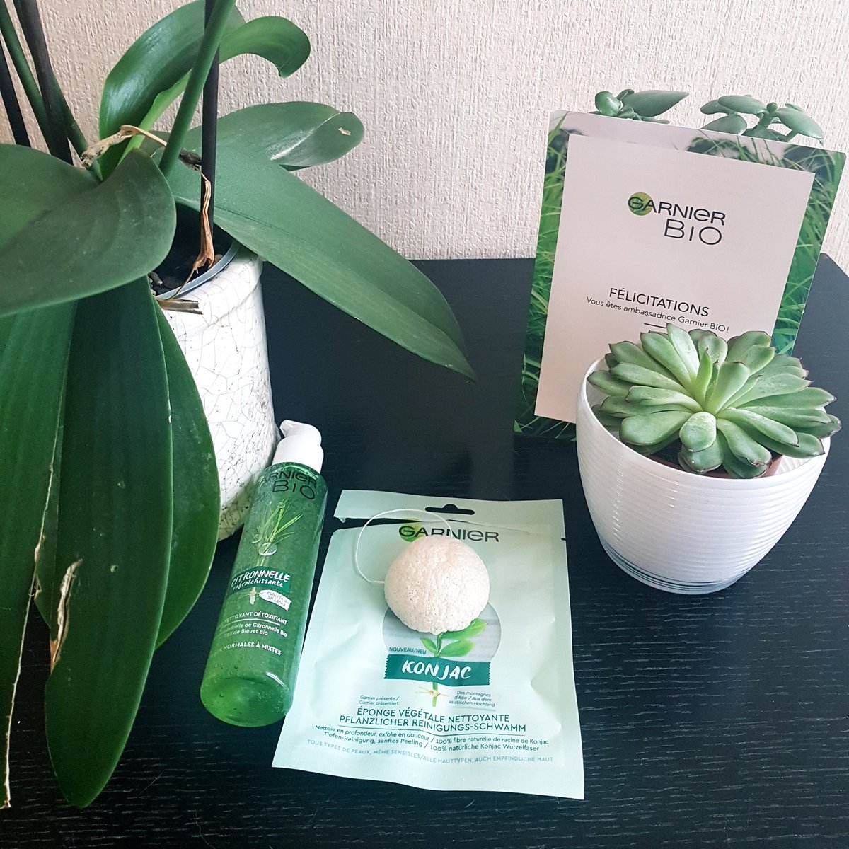 ZiggyManon's tweet photo. Nouveau programme d'ambassadeur reçu, j'ai hâte de les tester 😃 #sampleo #garnierbio https://t.co/E5HMVjuSt0