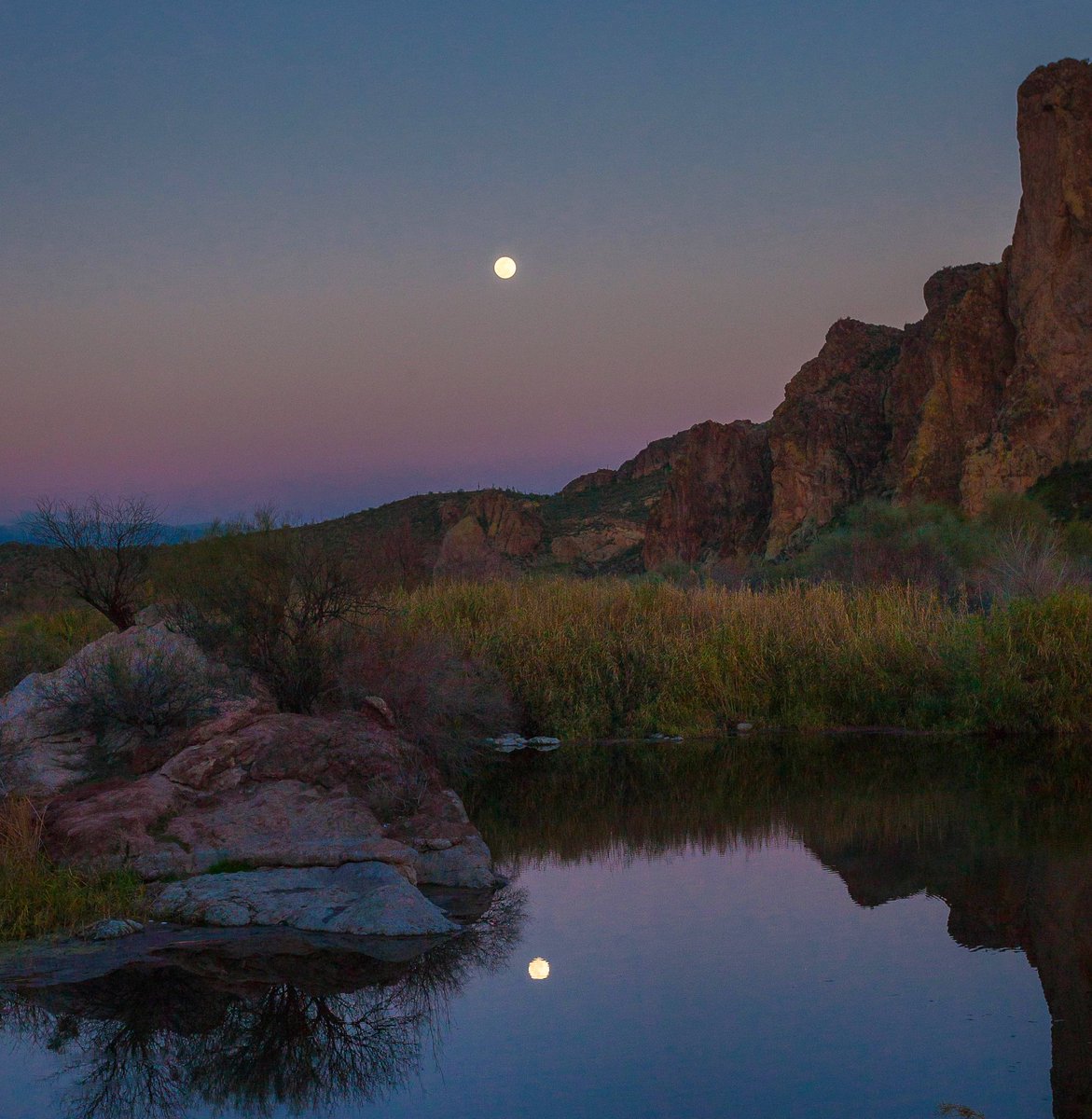 CampCoolOut's tweet photo. Lower Salt River, Arizona
#arizona #publiclands #southwest #sunset #earthcapture #fullmoon #lowersaltriver #mesa #travel #photography #explore #az @CanonUSAimaging @azcentral @AZStateParks @VisitMesa https://t.co/aDAwk5PltJ
