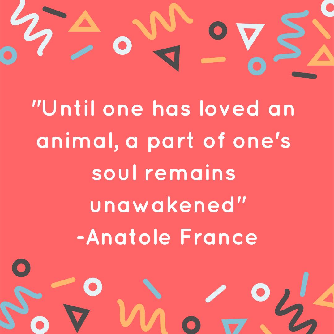Pets teach you much more about yourself than you know.