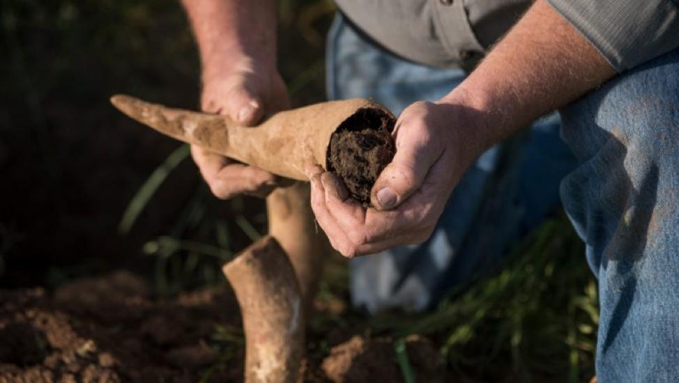 Vinexposium tweet media