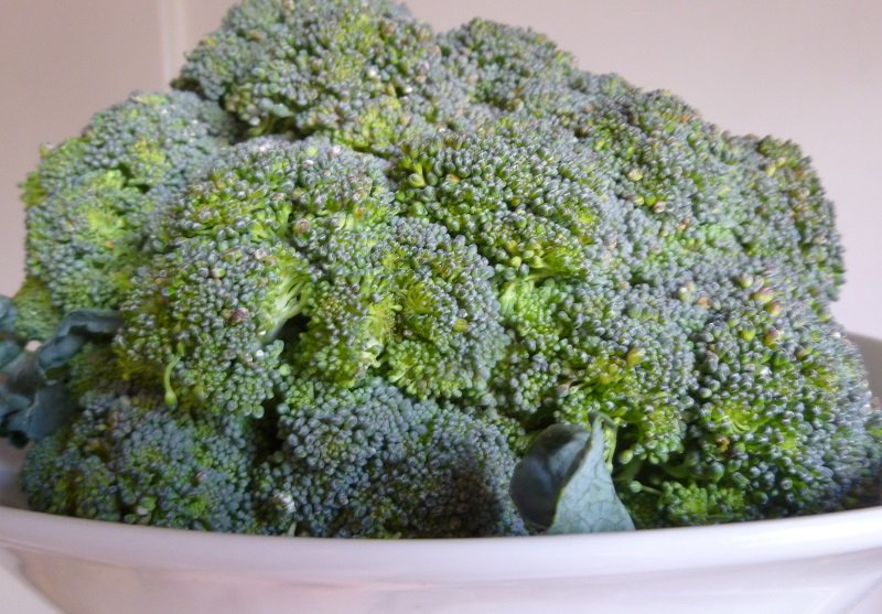 LoNaturalyMas's tweet photo. El #Brócoli tiene un elevado poder antioxidante que contrarresta la acción de los radicales libres. Este considerado un súper alimento por sus propiedades anticancerígenas, antiinflamatorias, diuréticas, entre otras. #NatuTips #Natural #Saludable https://t.co/BDLOMPf8L9