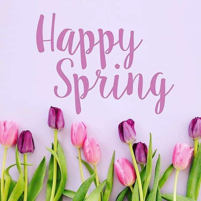 BCC1864's tweet photo. Happy 1st day of Spring!  Come pick up a copy of the new Discover Belleville guide and plan your spring adventures. #springishere🌸 #firstdayofspring #springadventures #VisitorInformation #DiscoverBelleville #BellevilleON #BayofQuinte https://t.co/30RYfmNNDt https://t.co/U87JXISeJw