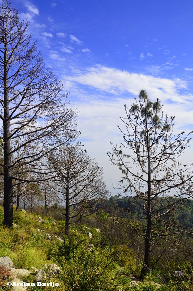 arslanbarijo's tweet photo. #Trail3 #Islamabad #Pakistan #TravelPakistan #WelovePakistan #Photo #Stories #Wanderlust #Traveller #visualartist #Blog #photography #discoverpakistan #travelbeautifulpakistan #Pakistanisflying  #Explorationdream  #travelblog  #pakistanzindabad #BeautifulPakistan #Solohiking https://t.co/puxyLeZLHR