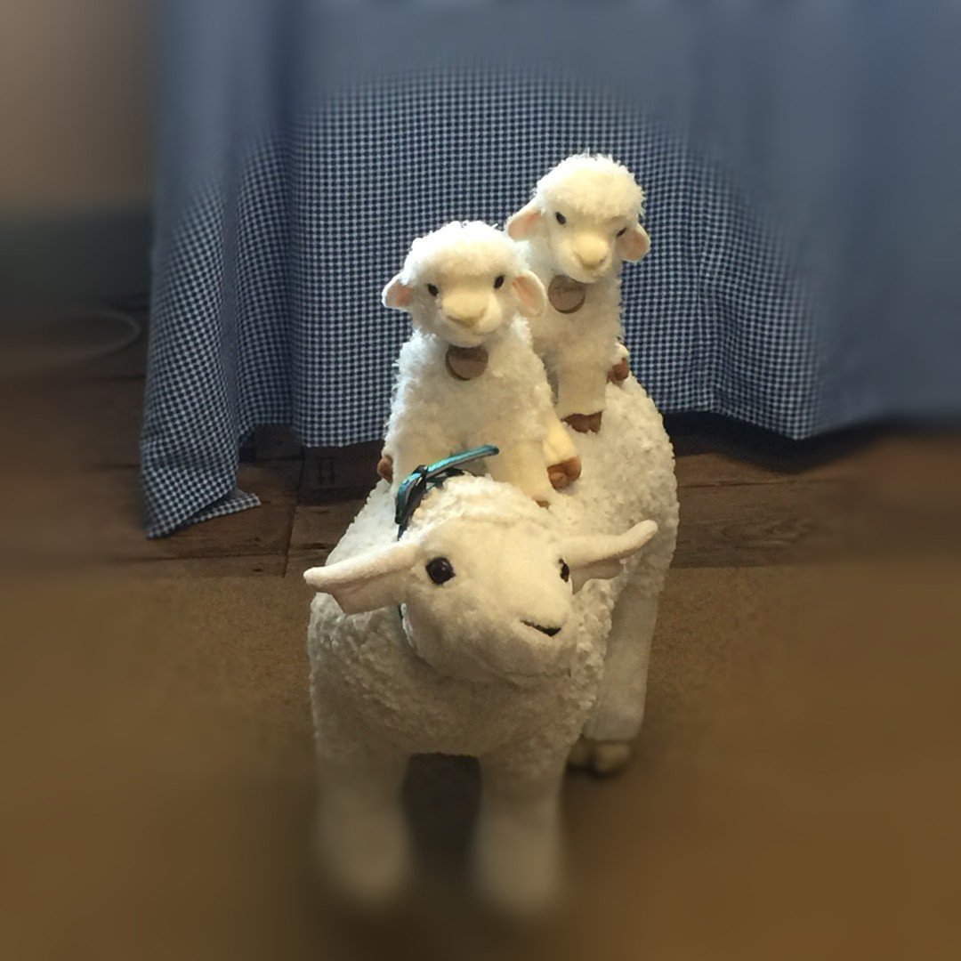 DyckmanFarm's tweet photo. What better way to celebrate #InternationalDayofHappiness than by horsing around with our favorite sheep at Dyckman Farmhouse?! We hope Luna brings you a little joy today. #LunaDFM #lunaonthelamb #MuseumMascot https://t.co/GxYLdqvo8v