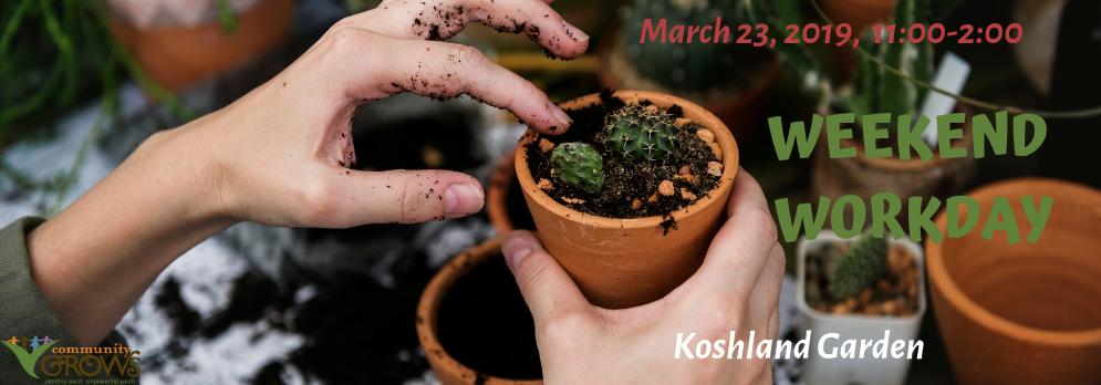 Come join us this Saturday at Koshland Park for some fun gardening with amazing people! Tell your friends and family, it's kid friendly as well.
#communitygrows #gardening #funwork #givingback