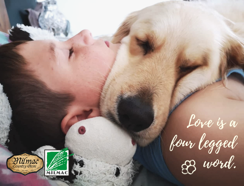 MilmacFeeds's tweet photo. "Love is a four legged word." 💚🐶

PLEASE NOTE - we are closed this Human Rights Day (21 March 2019).

#MilmacFeeds #MilmacCountryStore #Love #FurrBaby https://t.co/SOOal0hf1X