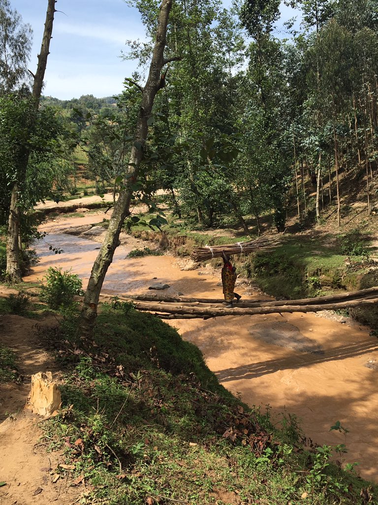 pakayezu's tweet photo. Did you know @B2P is thriving to solve the problem of these wood and non-safe bridges in rural Rwanda ? #riverinfrastructure @Water4GrowthRW #waterweek2019 #IWRMConference https://t.co/woetFohxei