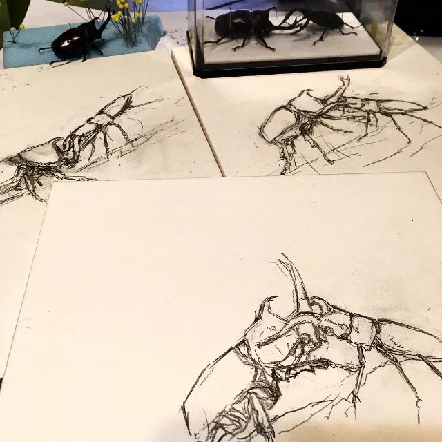 どの絵も喧嘩しています。 