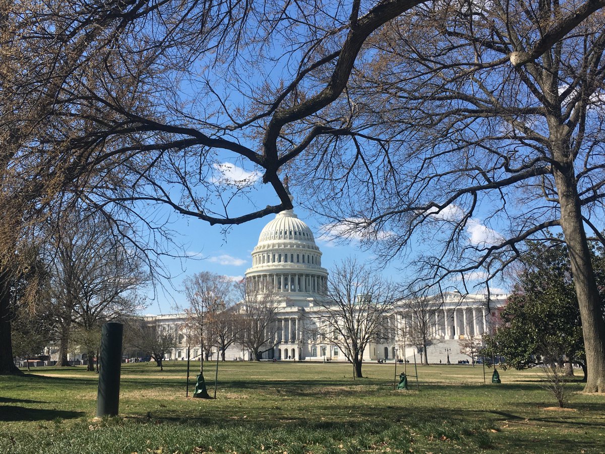 tabetha_maly's tweet photo. So happy to have met with staff for @senrobportman @SenSherrodBrown and @WarrenDavidson yesterday! #nafsaAD #WelcometoSucceed #AdvocacyDay #nafsaVI https://t.co/K4J8bxbLEF