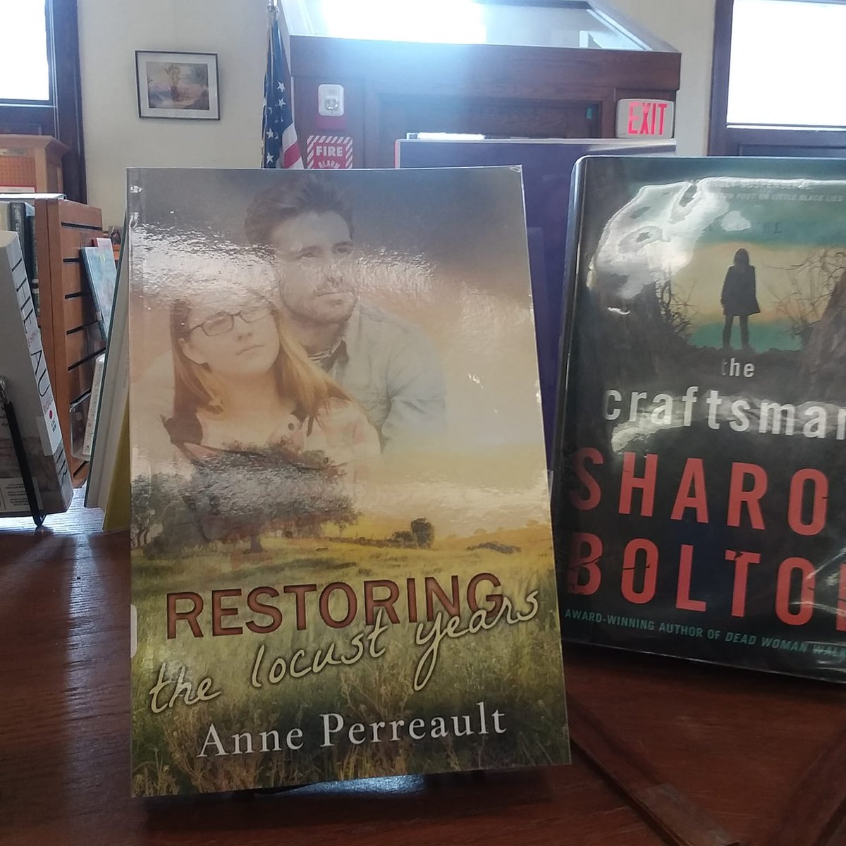 AnnePerreau5's tweet photo. #Library, #Smalltownlibrary, #Fiction, #CF,
My local library has been more than supportive of me and my crazy writing. This is my latest release. On display in the new books section https://t.co/1tbVyRdIXp