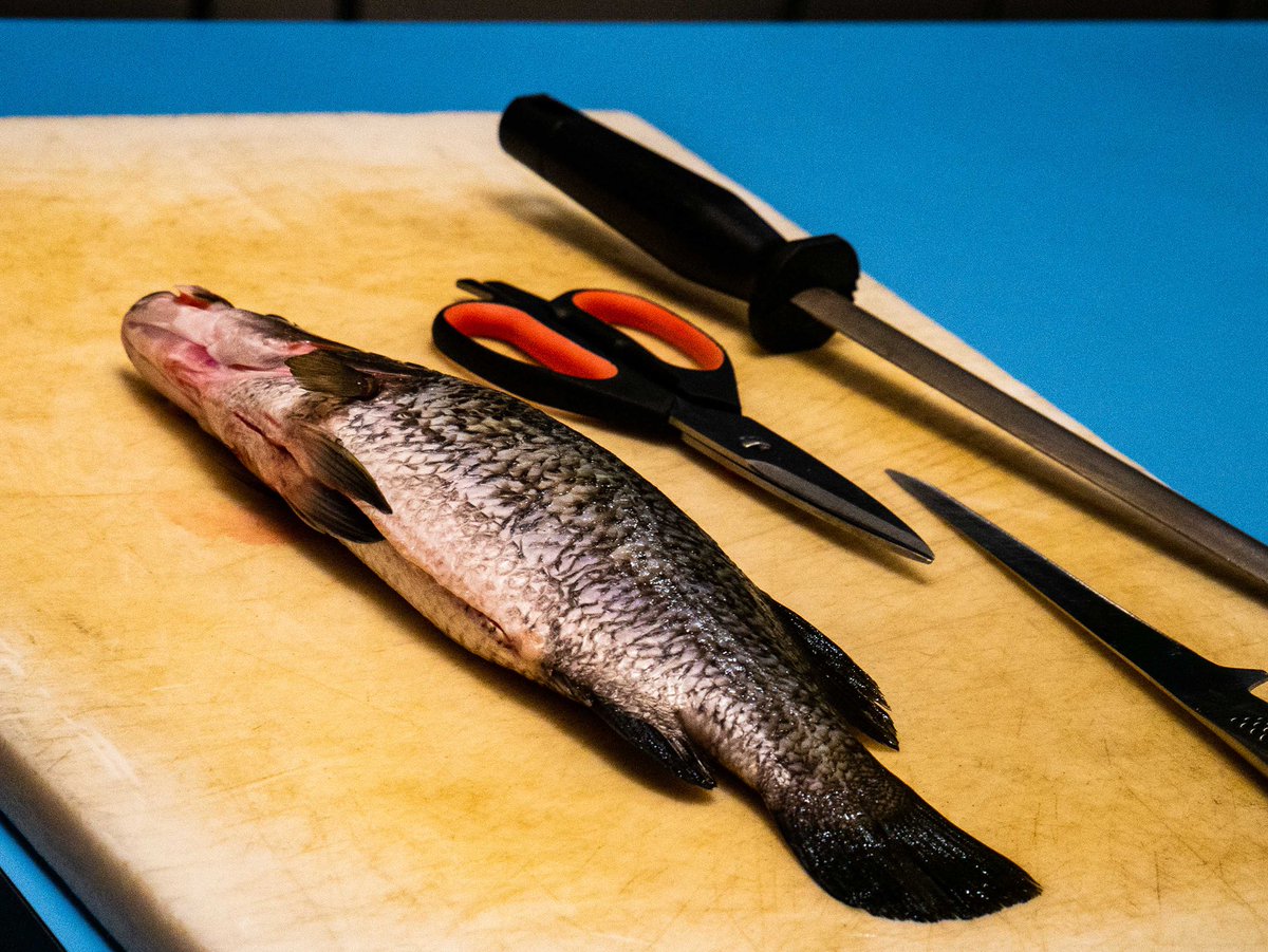 Hotel Arts tweet media