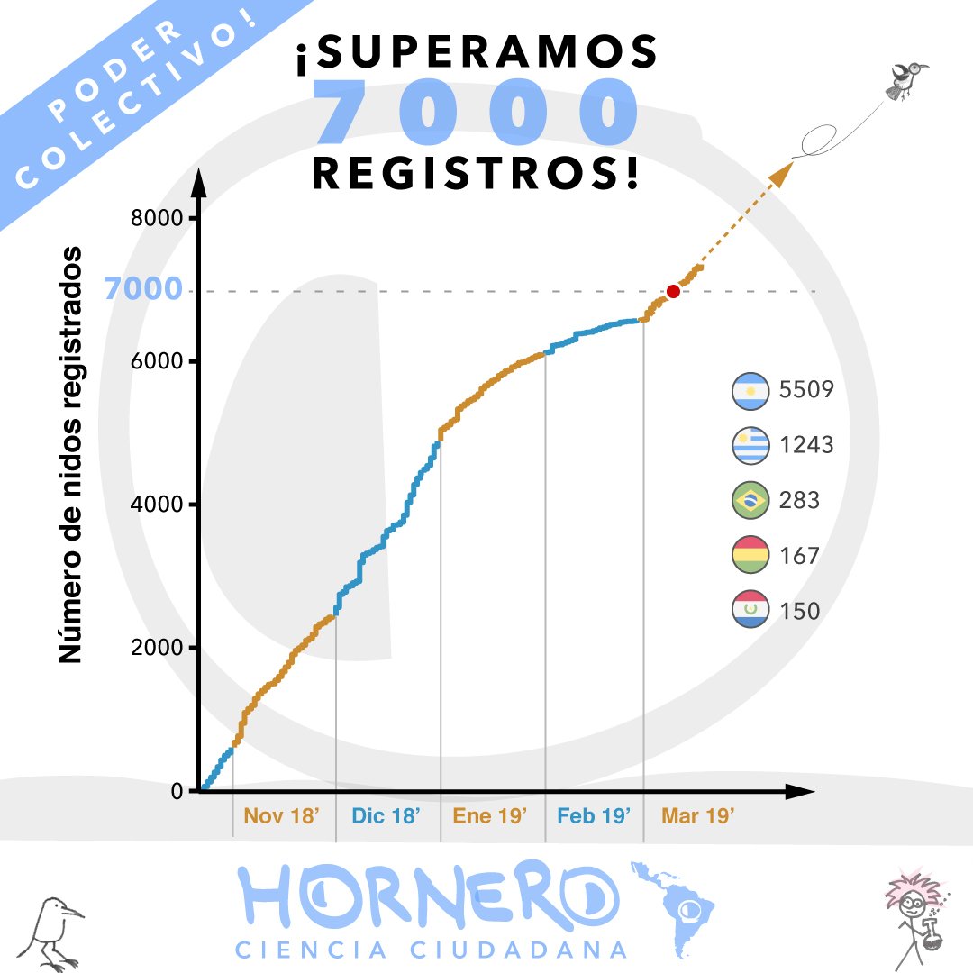 nidohorneros's tweet photo. Increíble logro! Hasta 10.000 no paramos!
💪🏼🇵🇾🇺🇾🇦🇷🇧🇷🇧🇴
Sumáte a #cienciaciudadana usando #horneroapp para registrar nidos de #hornero 🤳🏼🍘🐥
Querés ver los registros? (mapa)👇🏼
https://t.co/sx6LvkW8WH
#joaodebarro
#tiluchi
#alonsito
#ciencialatina https://t.co/Owuaq4KBLU