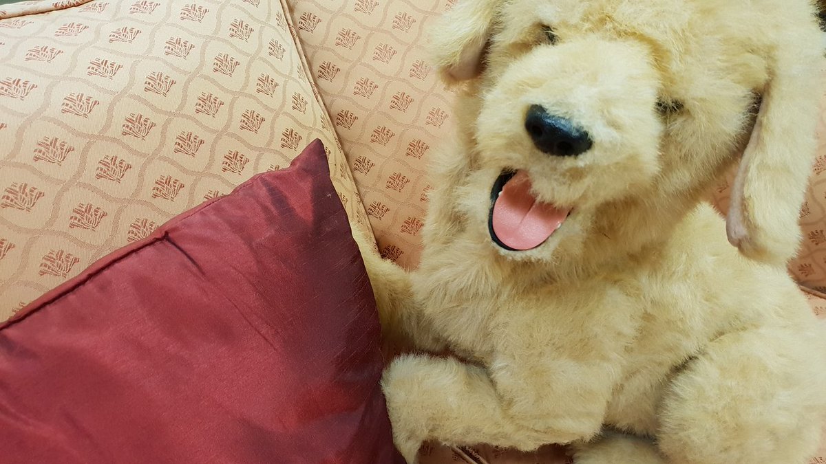 We increasingly hear of robots taking over humans’ jobs, but could robots fill in for dogs in pet therapy?  Pet robots are increasingly being used in assisted living facilities and day care centers to help patients with dementia. #APAblog APAPsy.ch/blg-pet-robots