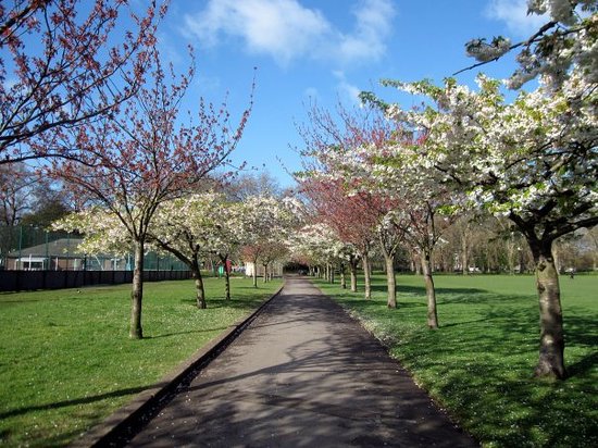 Macmillan Move More (Wandsworth) tweet media