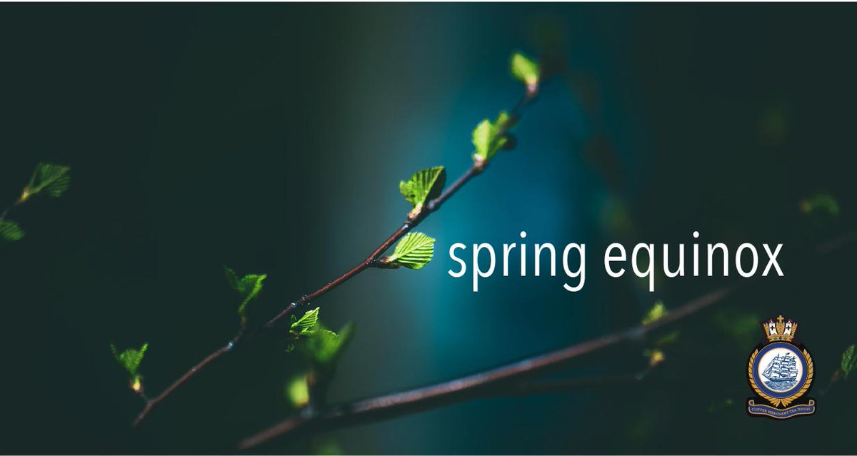 ClipperTeaHouse's tweet photo. As #Spring approaches &amp; Winter loosens its grip, the land itself seems to offer us the possibility of renewal and calm. The bare thin limbs of trees grow fresh shoots and leaves. Warmer days and shorter nights bring us respite from an endlessness of cold and dark. #SpringEquinox https://t.co/NpKnoMmM0H