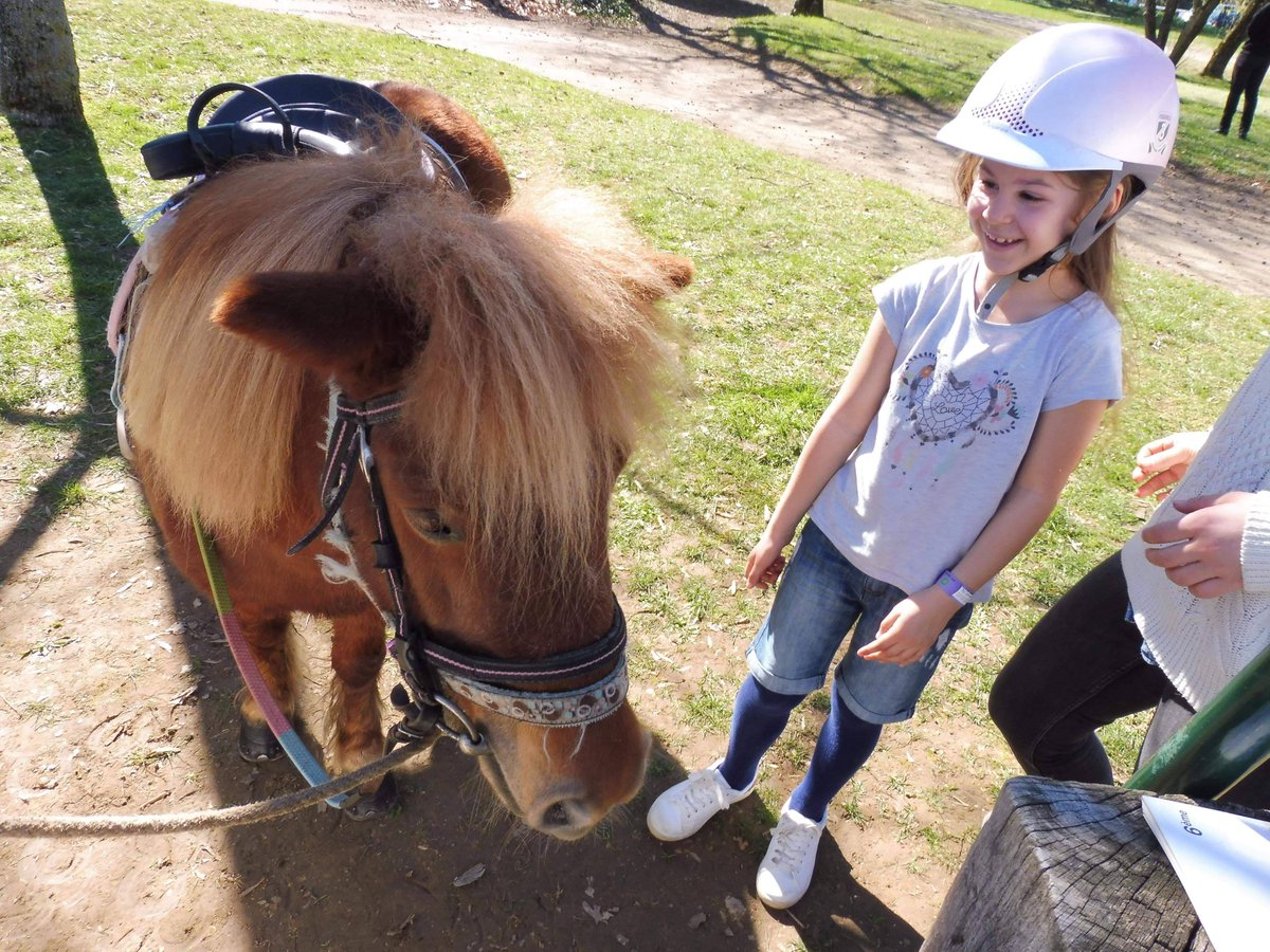 Viaparents tweet media