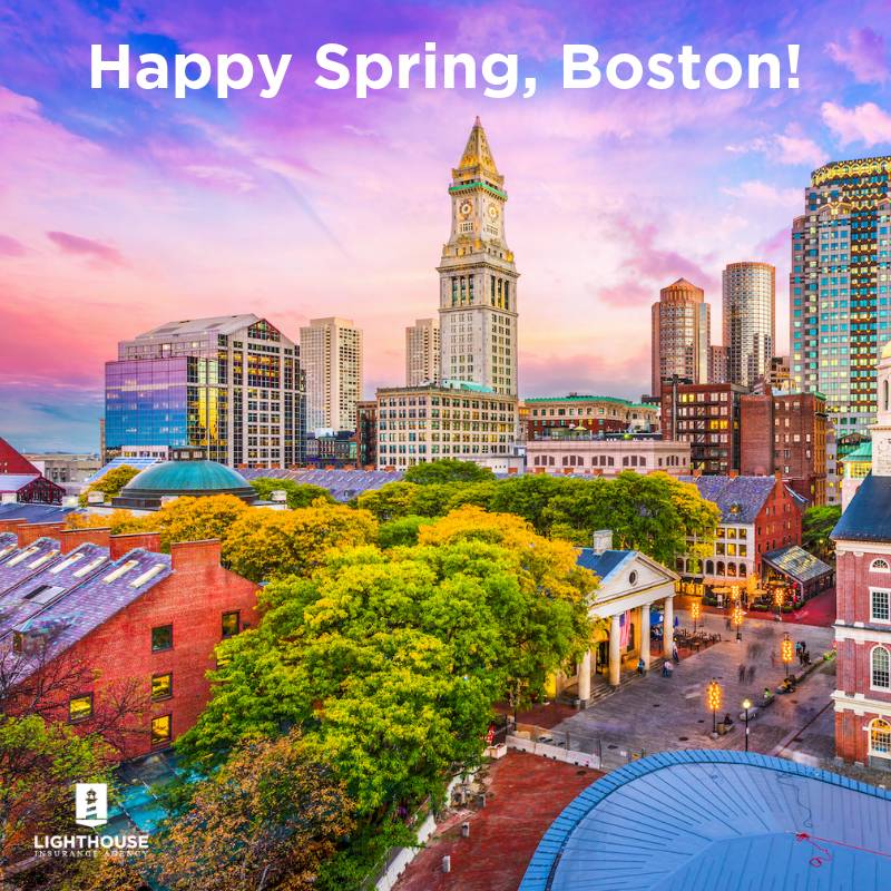 Lighthouse Insurance tweet media