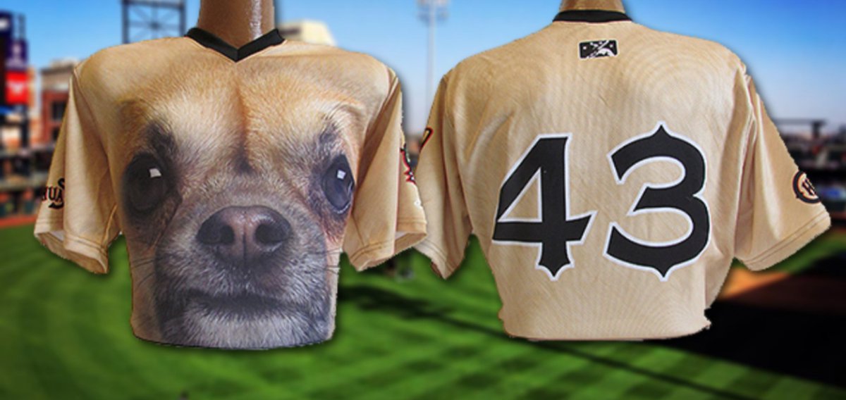el paso chihuahuas jersey