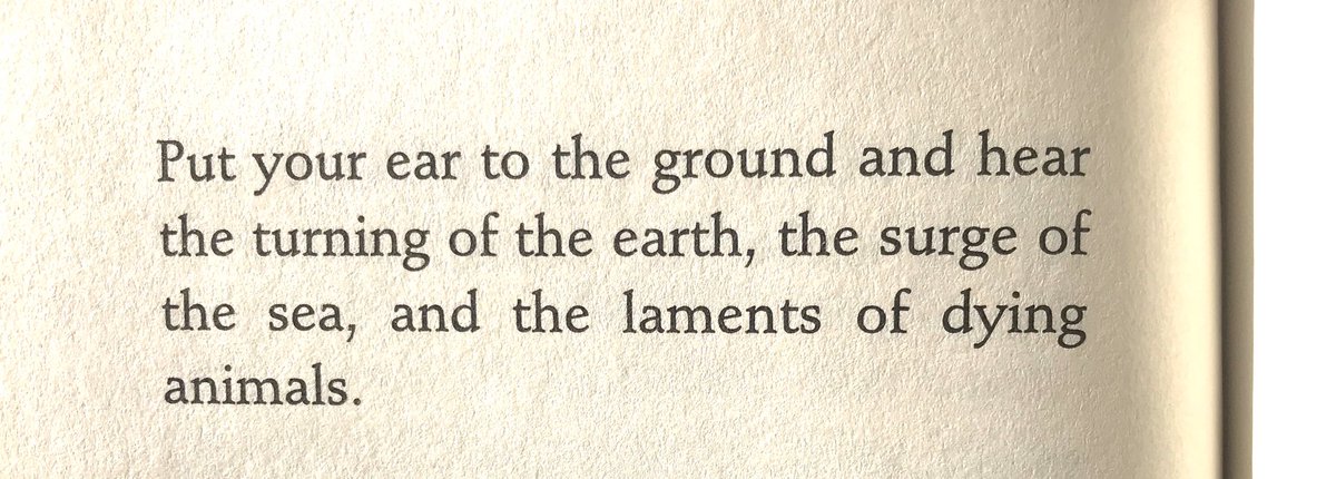 amadonegro's tweet photo. Recordatorio: este domingo, Lawrence Ferlinghetti cumple cien años. https://t.co/ZlJ9QSWPvJ