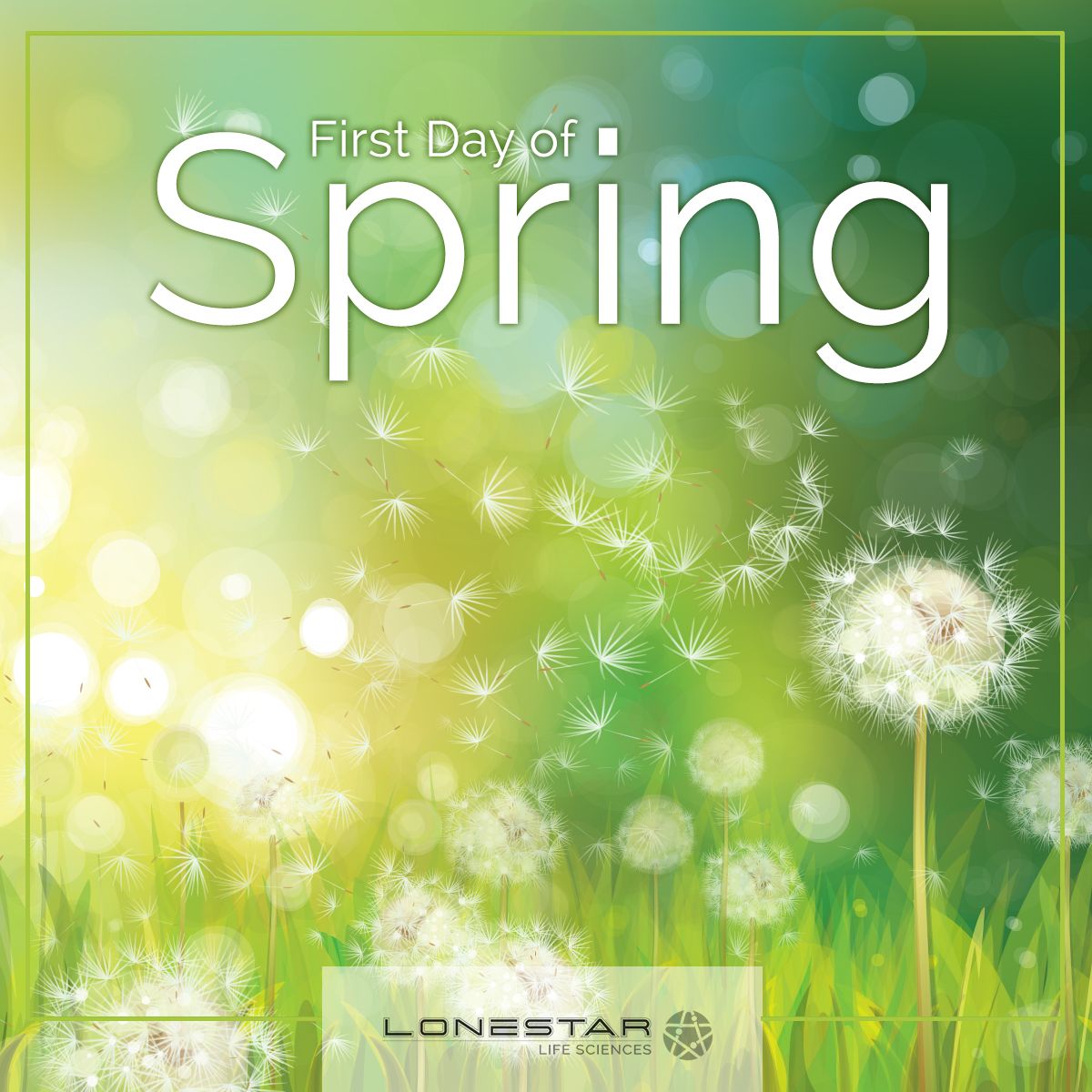 LSLifeSciences's tweet photo. "Science has never drummed up quite as effective a tranquilizing agent as a sunny spring day." - W. Earl Hall
Have a great 1st Day of Spring. https://t.co/TFQsP18cjG