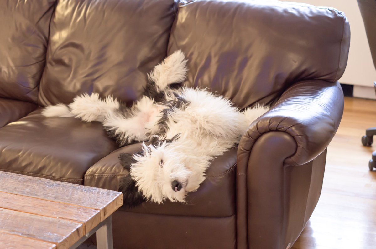 otis unleashed tweet media