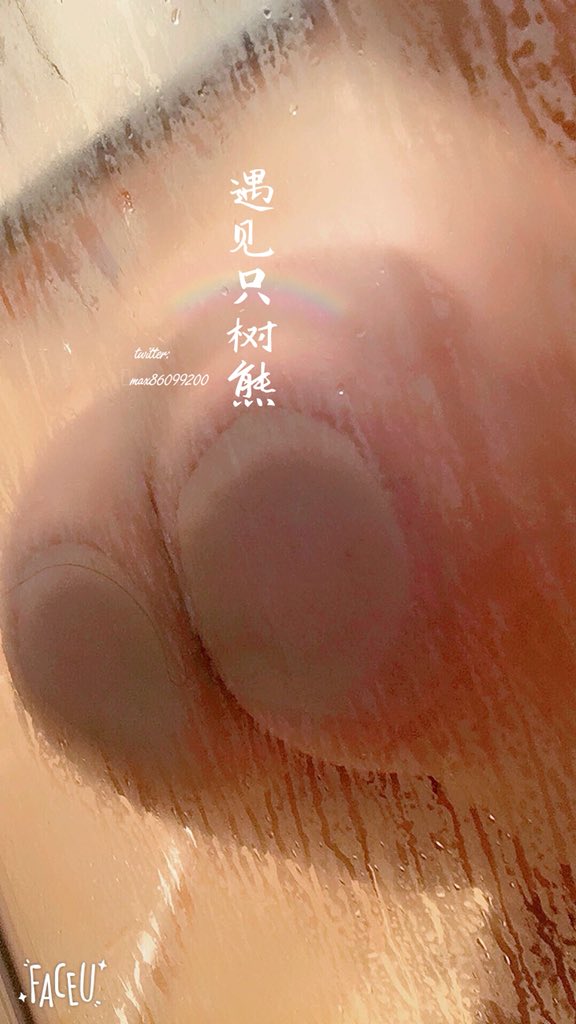 遇见只树熊 tweet media