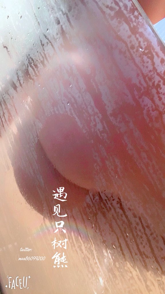 遇见只树熊 tweet media