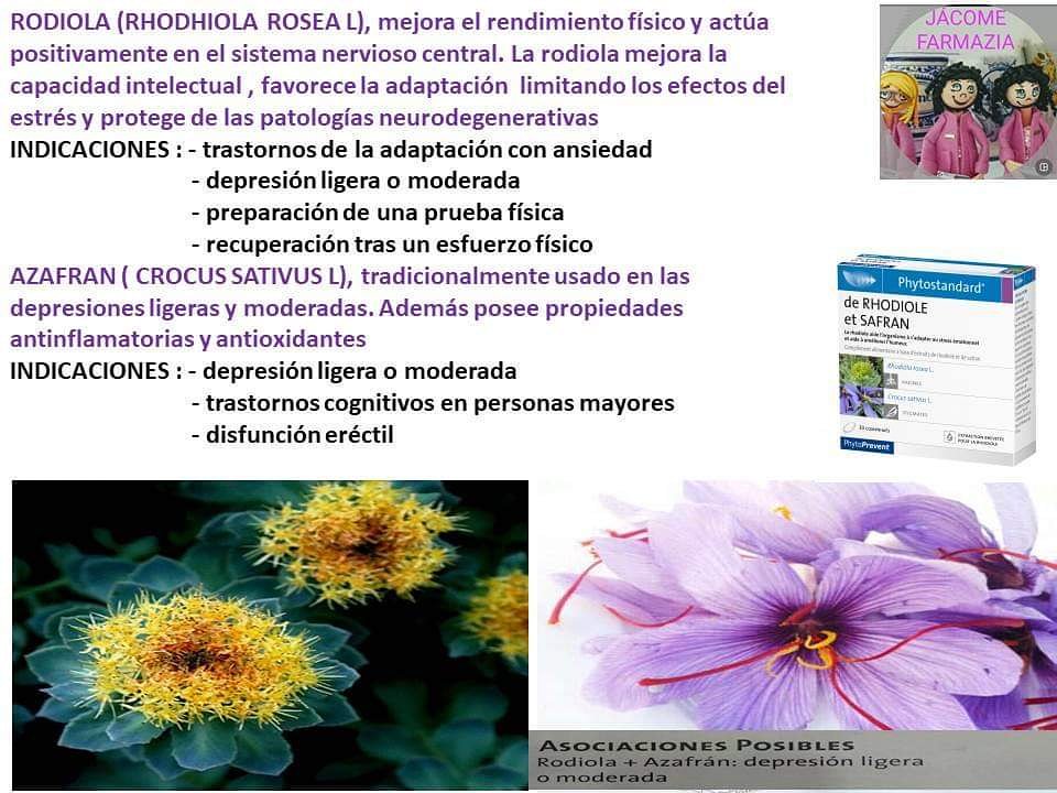 FarmaciaJacome's tweet photo. RODIOLA: ERRESISTENTZIA ETA EGOKITZAPENAREN LANDAREA
AZAFRAIA: DEPRESIO ARINAREN LANDAREA
RODIOLA: PLANTA DE LA RESISTENCIA Y LA ADAPTACIÓN
AZAFRAN: PLANTA DE LA DEPRESIÓN LEVE
#farmaciajacome #plantasmedicinales
#rodiola #azafran
#depresionleve #estadodeanimo https://t.co/2LnlbSObKa