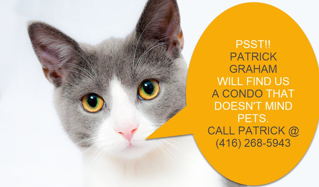 ConnectionCondo's tweet image. Finding You The Perfect Condo To Call Home Is All I Do. Using A Real Estate Agent When You Are Buying A Home Costs You Nothing.
Call (416) 268-5943. Patrick Graham, The Toronto Condo expert. Visit grahamcondoconnection.com for new MLS listings in Toronto