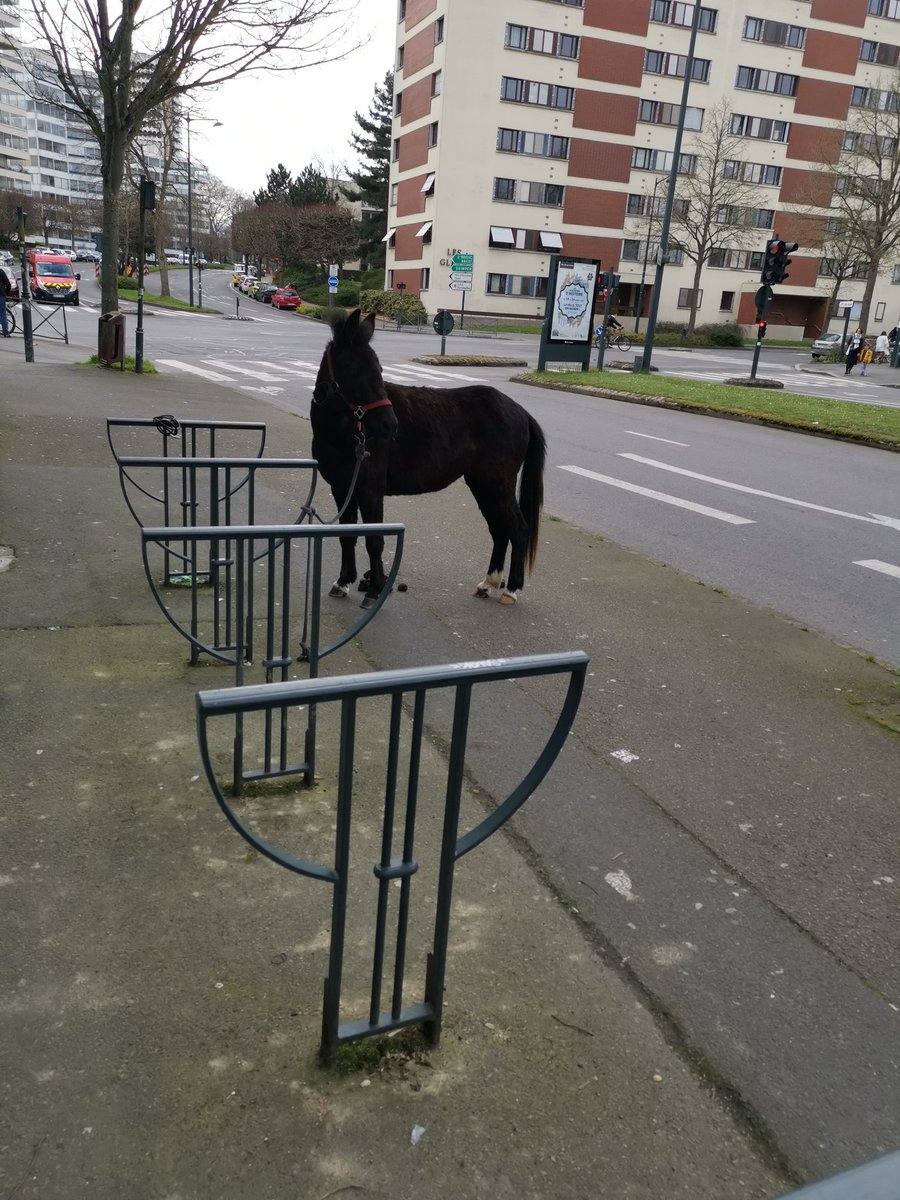 ArracheurdeDent's tweet photo. Rennes c'est vraiment une ville épatante https://t.co/MxvSkMCZeQ