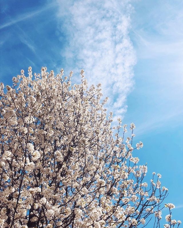 ilovetheory tweet media